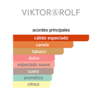 Spicebomb Viktor & Rolf 90ML — Vista 3
