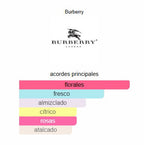Burberry Her 100ML — Vista 2