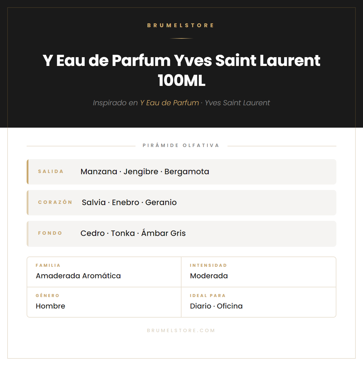 Pirámide Olfativa — Y Eau de Parfum Yves Saint Laurent 100ML
