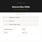 Pirámide Olfativa — Bharara Bleu 100ML