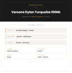 Pirámide Olfativa — Versace Dylan Turquoise 100ML
