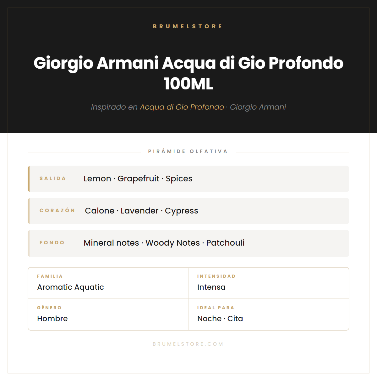 Pirámide Olfativa — Giorgio Armani Acqua di Gio Profondo 100ML
