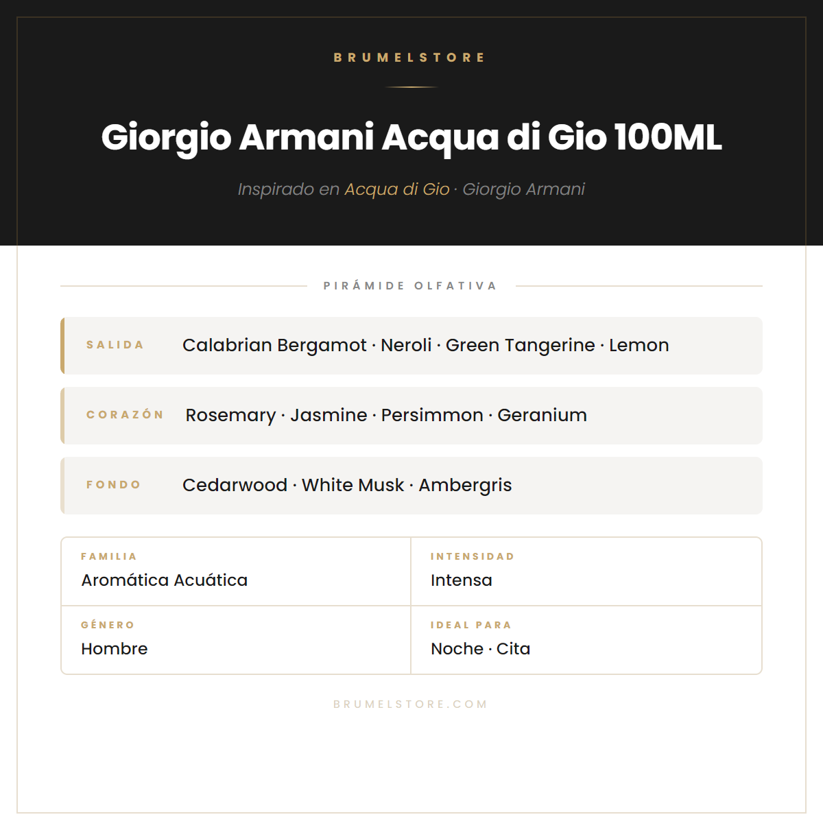 Pirámide Olfativa — Giorgio Armani Acqua di Gio 100ML