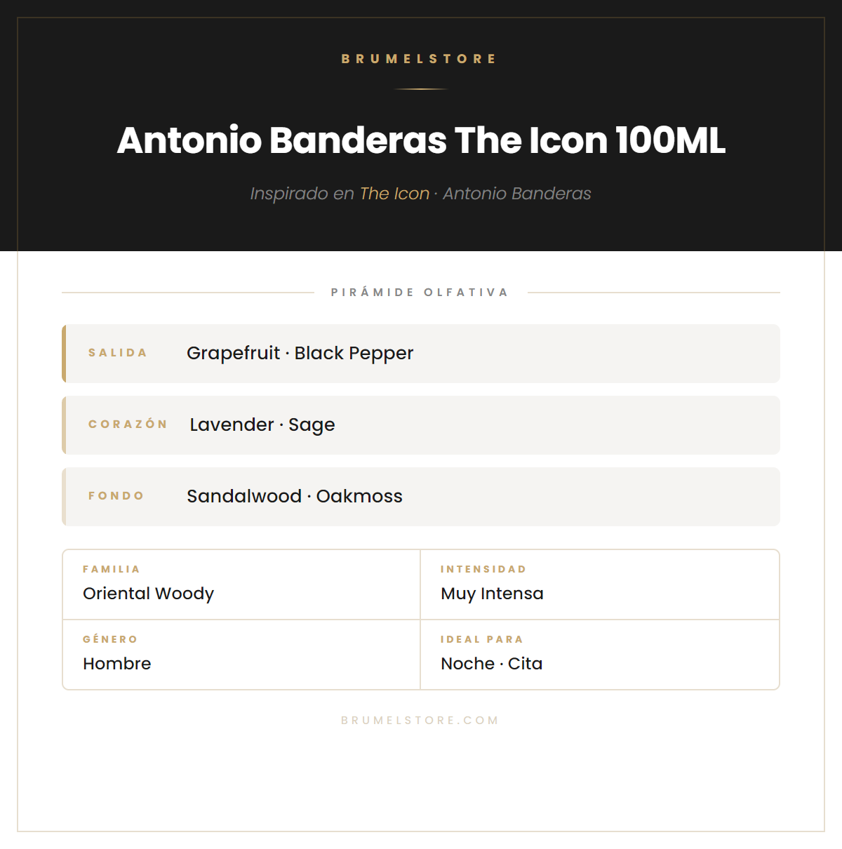 Pirámide Olfativa — Antonio Banderas The Icon 100ML