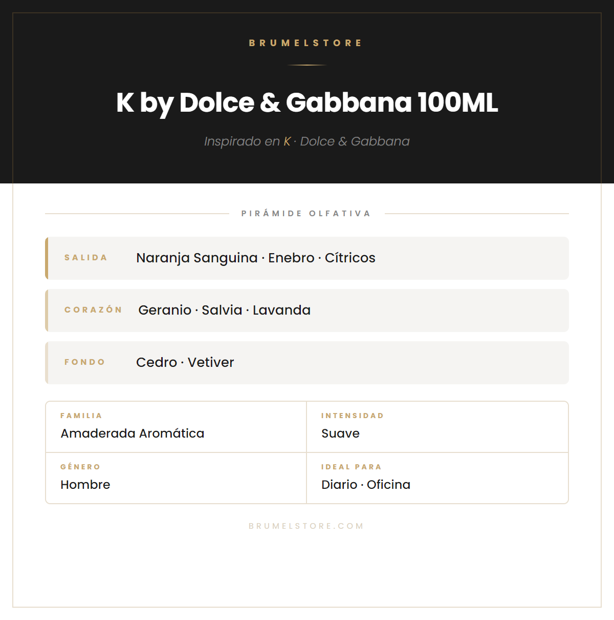 Pirámide Olfativa — K by Dolce & Gabbana 100ML