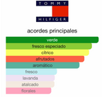 Tommy Hilfiger 100ML — Vista 2
