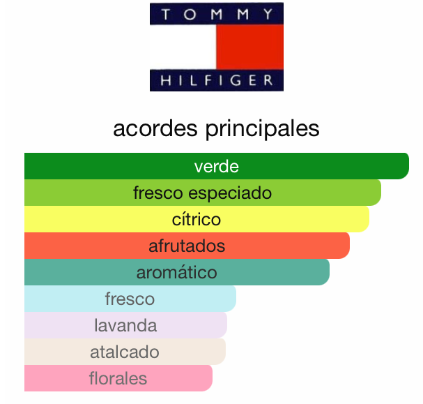 Tommy Hilfiger 100ML — Vista 2